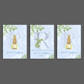 Baby Birth Panel