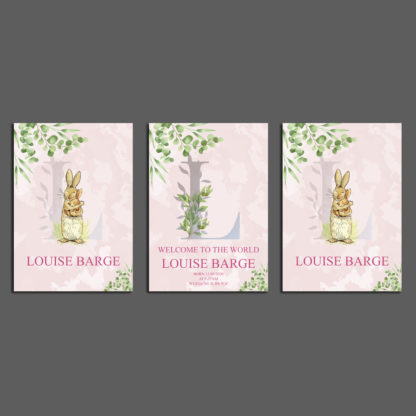 Baby Birth Panel pink